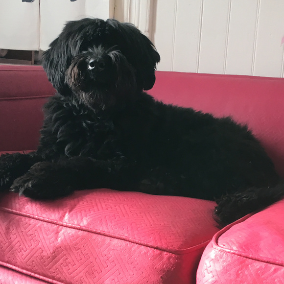 Meet your Posher and her crew! - Picture 3 of 5